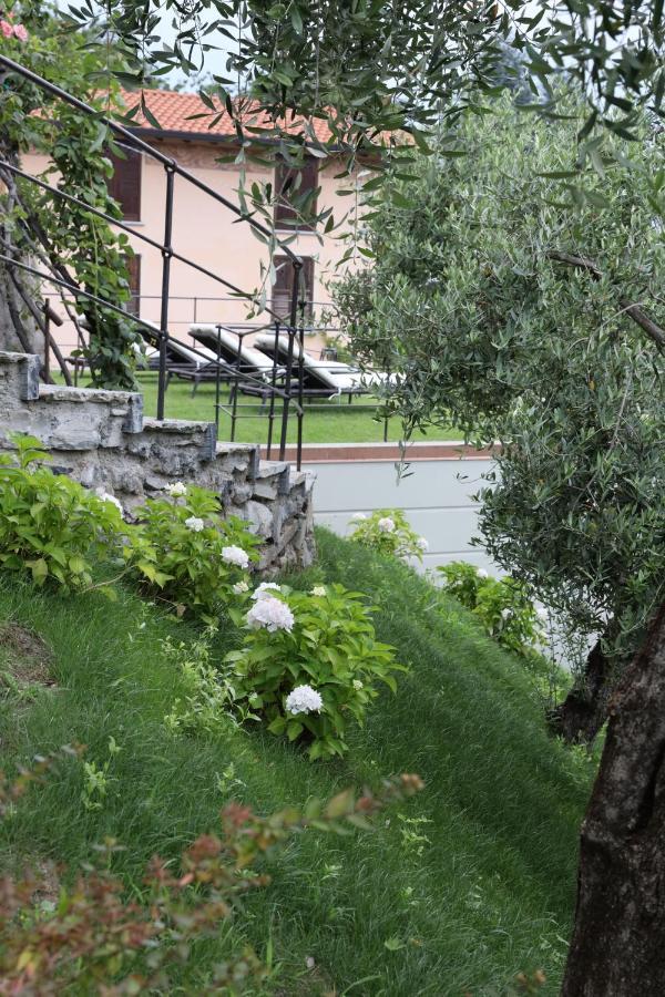 Villa Mojana Bellagio Oliveto Lario Extérieur photo