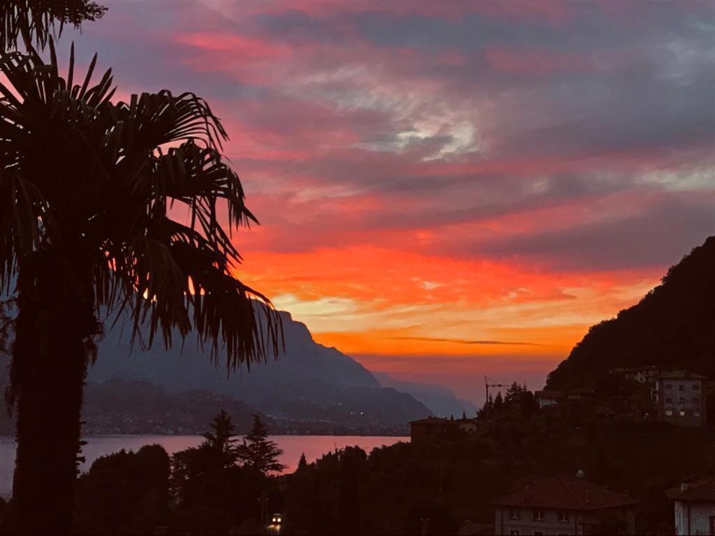 Villa Mojana Bellagio Oliveto Lario Extérieur photo